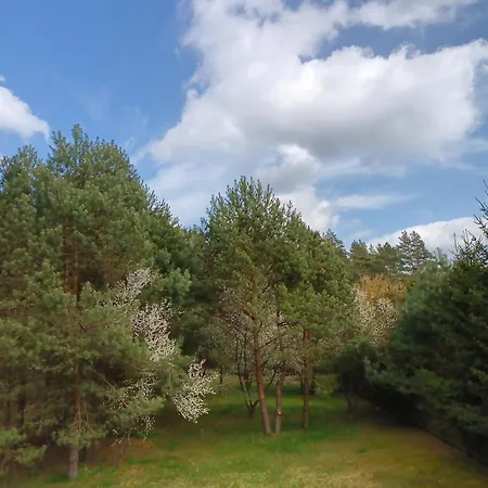 Mazury, Pod Lasem Holiday home *
