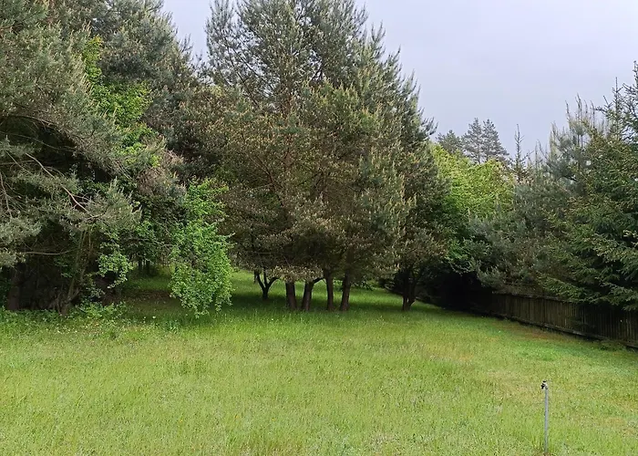 Holiday home Mazury, Pod Lasem